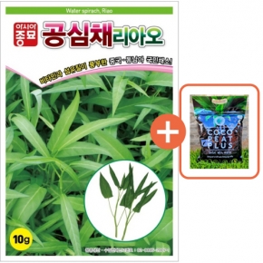 아시아종묘 씨앗 쌈 공심채리아오 10g + 코코피트 플러스 5L