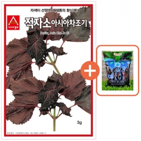 아시아종묘 씨앗 쌈 적자소 3g + 코코피트 플러스 5L