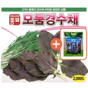 아시아종묘 씨앗 쌈 모둠경수채 2000립 + 코코피트 플러스 5L