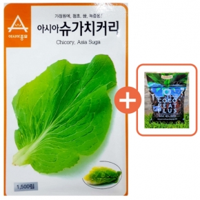 아시아종묘 씨앗 치커리 아시아슈가치커리 1500립 + 코코피트 플러스 5L