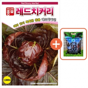 아시아종묘 씨앗 치커리 레드치커리 1500립 + 코코피트 플러스 5L