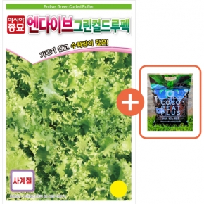 아시아종묘 씨앗 치커리 그린컬드루펙 1500립 엔다이브 + 코코피트 플러스 5L