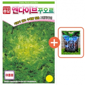아시아종묘 씨앗 치커리 꾸오르 1500립 엔다이브 + 코코피트 플러스 5L
