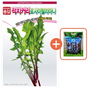아시아종묘 씨앗 치커리 로사이탈리아나 1500립 + 코코피트 플러스 5L