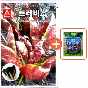 아시아종묘 씨앗 치커리 트레비소 1500립 + 코코피트 플러스 5L