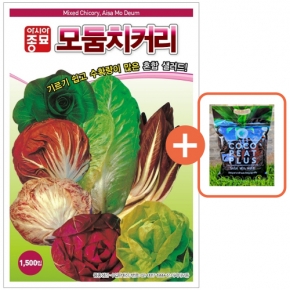 아시아종묘 씨앗 치커리 모둠치커리 1500립 + 코코피트 플러스 5L