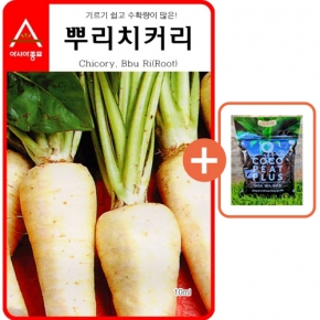 아시아종묘 씨앗 치커리 뿌리치커리 3000립 + 코코피트 플러스 5L
