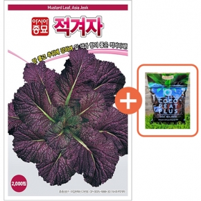 아시아종묘 씨앗 겨자 적겨자 2000립 + 코코피트 플러스 5L
