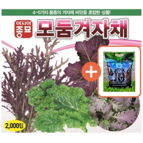아시아종묘 씨앗 겨자 모둠겨자채 2000립 + 코코피트 플러스 5L