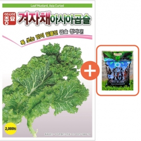 아시아종묘 씨앗 겨자 아시아곱슬 2000립 + 코코피트 플러스 5L