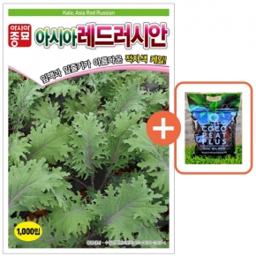 아시아종묘 씨앗 케일 아시아레드러시안 1000립 + 코코피트 플러스 5L