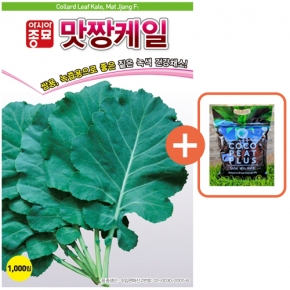 아시아종묘 씨앗 케일 맛짱케일 1000립 + 코코피트 플러스 5L