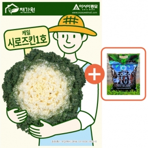 아시아종묘 씨앗 케일 시로즈킨1호 20립 + 코코피트 플러스 5L