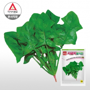 아시아종묘 씨앗 시금치 올시즌 20g
