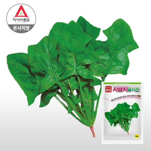 아시아종묘 씨앗 시금치 올시즌 500g
