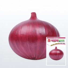 아시아종묘 양파씨앗종자 얼리적(2.5g)