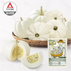 채가원 화이트 미니 단호박 10립