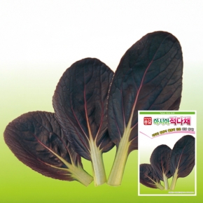 아시아종묘 다채씨앗종자 적다채 1000립