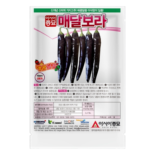 아시아종묘 고추씨앗종자 매달보라 100립