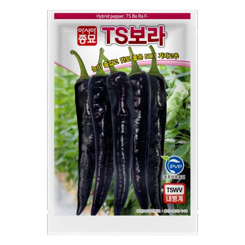 아시아종묘 고추씨앗종자 TS보라 100립