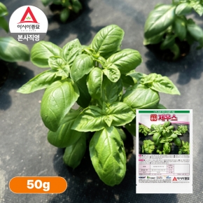 아시아종묘 허브씨앗종자 제우스 바질50g