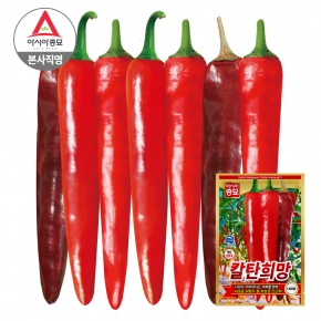 아시아종묘 고추 씨앗 종자 칼탄희망 1200립