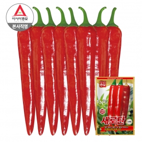 아시아종묘 고추 씨앗 종자 새로탄 1200립