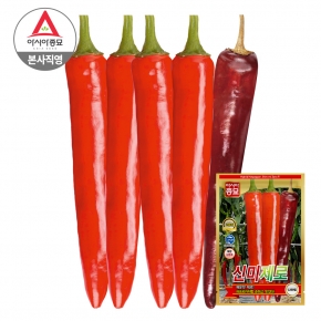 아시아종묘 고추 씨앗 종자 신미제로 1200립