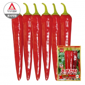 아시아종묘 고추 씨앗 종자 조생강탄 1200립