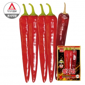 아시아종묘 고추 씨앗 종자 왕자님 1200립