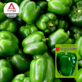 아시아종묘 파프리카씨앗 종자 아시아그린피망 30립