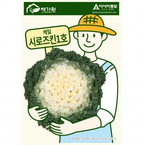 아시아종묘 꽃 씨앗 종자 꽃양배추 시로즈킨1호 20립(백로즈)