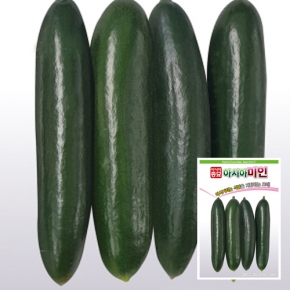 아시아종묘 오이 씨앗 종자 아시아미인 10립