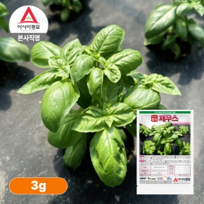 아시아종묘 허브씨앗종자 제우스 바질 (3g,50g)