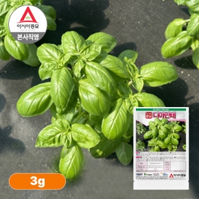 아시아종묘 허브씨앗종자 디아만테 바질(3g,50g)