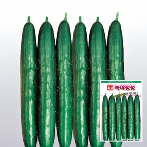 아시아종묘 오이 씨앗 종자 녹야청청(40립,40립x3개,500립)