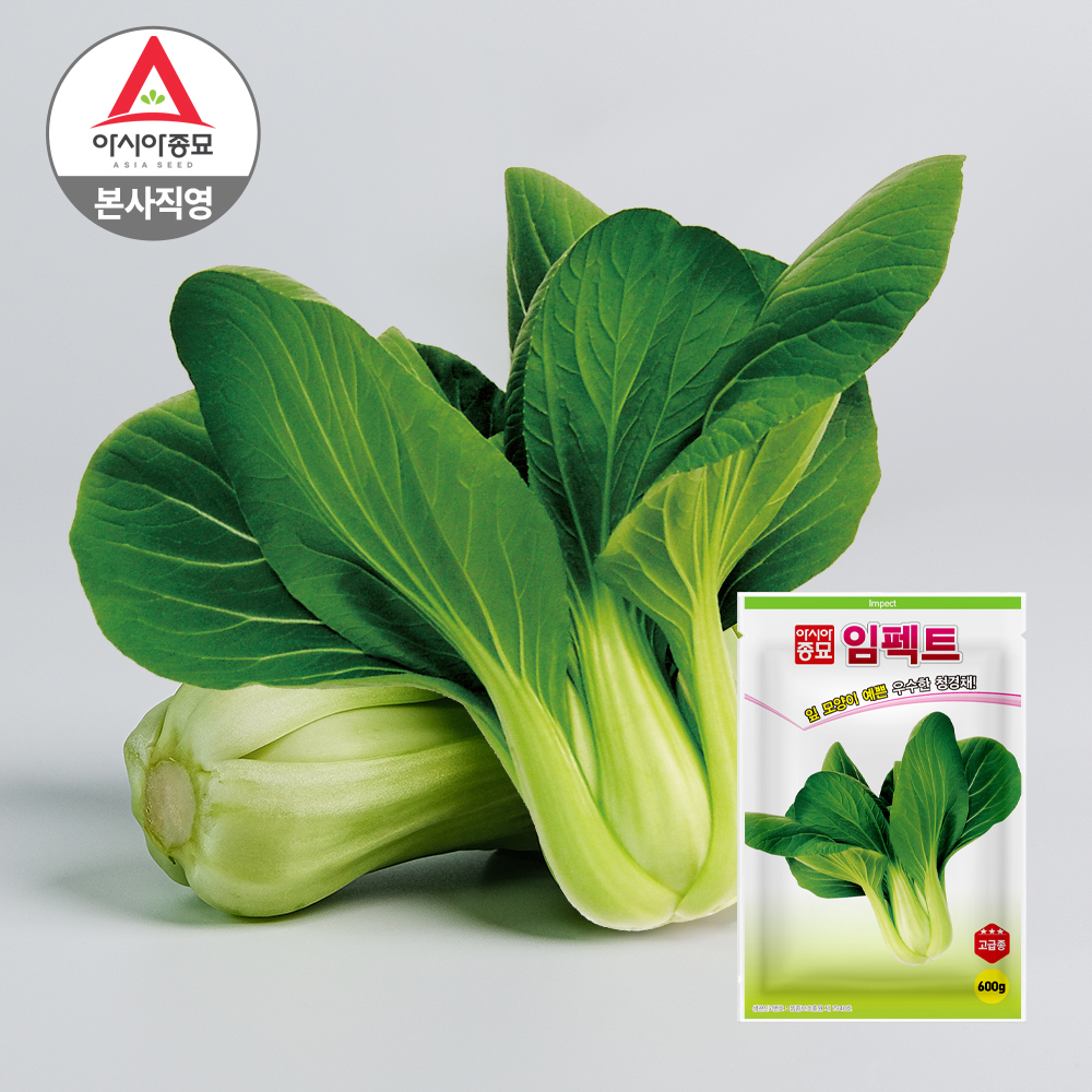 아시아종묘 청경채 씨앗 종자 고급종 임펙트 600g