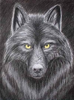 Art Sets Wolf BoxDrawing Set91400-2602