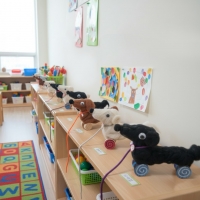 바퀴달린 산책강아지