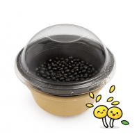 쑥쑥이 콩나물 키우기 체험 키트