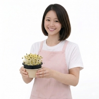 쑥쑥이 콩나물 키우기 체험 키트