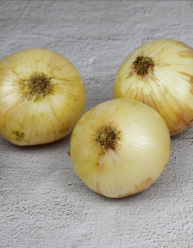 [부림영농조합법인] 부림영농조합법인 2025년산 햇 양파 1kg