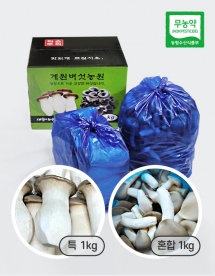 [계원버섯농원] [2kg세트] 새송이 (특1kg) + 느타리 (특상중혼합1kg)