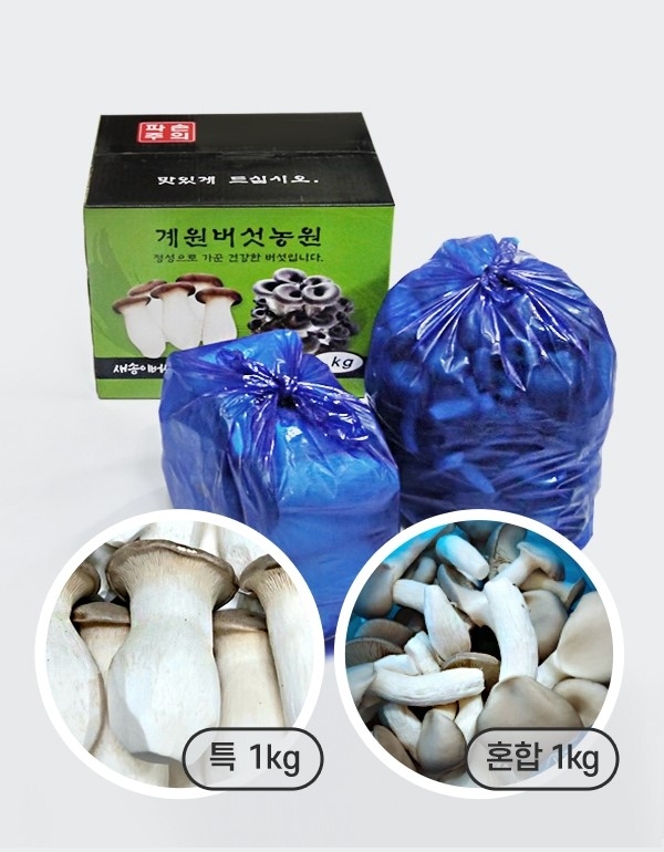 [계원버섯농원] [2kg세트] 새송이 (특1kg) + 느타리 (특상중혼합1kg)