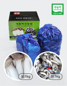 [계원버섯농원] [2kg세트] 새송이(상1kg) + 느타리(하1kg)