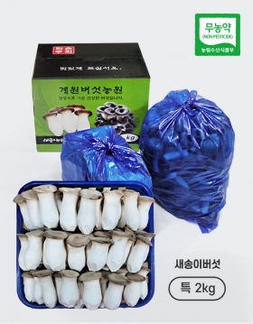[계원버섯농원] 새송이버섯(특2kg)