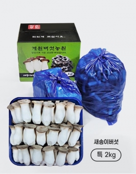 [계원버섯농원] 새송이버섯(특2kg)