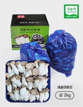 [계원버섯농원] 새송이버섯 (상2kg)
