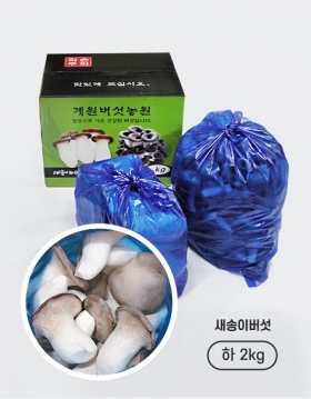 [계원버섯농원] 새송이 (하2kg)
