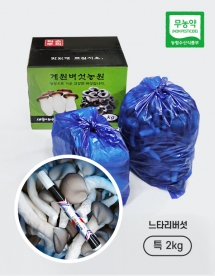 [계원버섯농원] 느타리버섯 (특2kg)